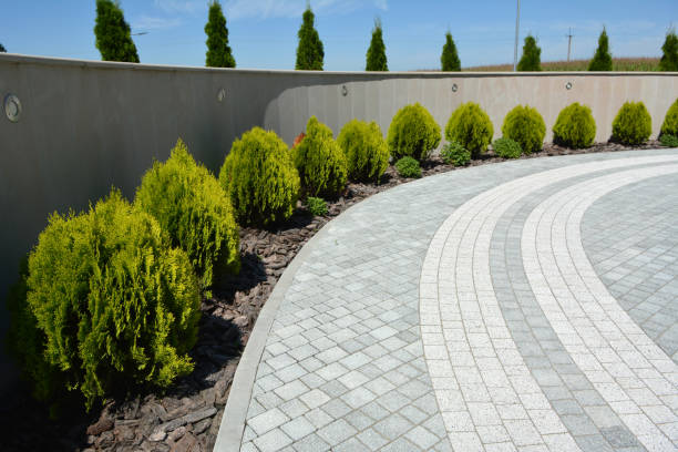 Best Best Driveway Pavers  in Camas, WA